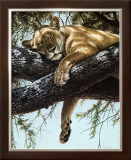 Buy Lake Manyara Lioness at AllPosters.com
