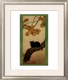Buy Black Cat at AllPosters.com