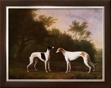 Buy Two Greyhounds in a Landscape at AllPosters.com