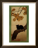 Buy Black Cat at AllPosters.com