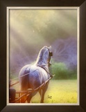 Buy Rays of Light at AllPosters.com