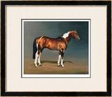 Buy Stanhopes Diddicoy at AllPosters.com