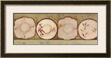 Old Plates