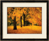 Buy Gold of Autumn East at AllPosters.com