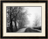 Buy Misty Tree, Lined Road at AllPosters.com