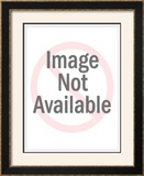 Buy Equality at AllPosters.com