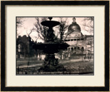 Buy Boston Common and Bulfin at AllPosters.com
