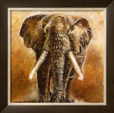 Buy Elephant at AllPosters.com