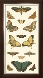 Buy Cramer Butterfly Panel I at AllPosters.com