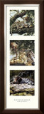 Buy Light and Shade II at AllPosters.com