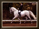 Buy Dressage at AllPosters.com