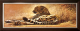 Buy Little Rest at AllPosters.com