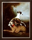 Whippets, 1981
