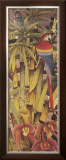 Tropica I