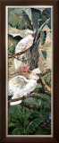 Buy Parrots in Paradise I at AllPosters.com