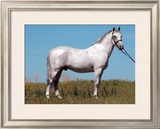 Buy Stand Proud at AllPosters.com