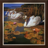 The Swans Family II
