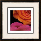 Buy April Roses at AllPosters.com