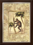 Amazon Primates II