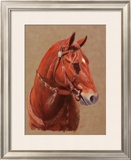 Buy Greencoat at AllPosters.com