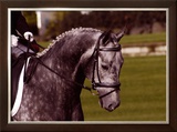 Buy Competition Time at AllPosters.com
