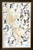 Buy Bird Migration Map, Western Hemisphere at AllPosters.com