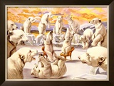 Polar Bears, Circus