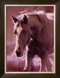Buy Mi Amore at AllPosters.com