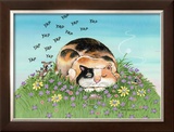 Cat-titude