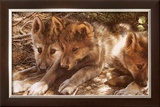 Buy Pick of the Pack at AllPosters.com