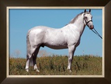 Buy Stand Proud at AllPosters.com