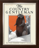 Buy Beaver in Winter, c.1916 at AllPosters.com