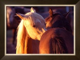 Buy Telling Secrets at AllPosters.com