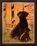 Buy Son of a Gun at AllPosters.com
