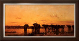 Buy Elephants at Sunset at AllPosters.com