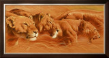 Buy Compact at AllPosters.com