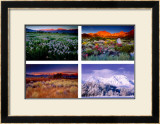 Buy Four Seasons at AllPosters.com