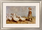 To Pastures New