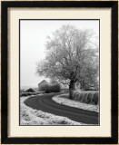 Buy Misty Country Road at AllPosters.com