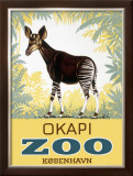 Buy Okapi Copenhagen Zoo at AllPosters.com