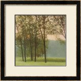 Buy Haze at AllPosters.com