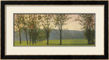 Buy Hazy, Woodstock at AllPosters.com