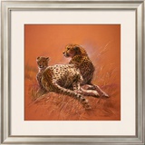 Buy Cheetah Mother at AllPosters.com