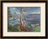 Buy Tree at the Walchensee at AllPosters.com