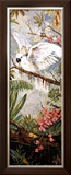 Parrots in Paradise II