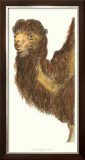 Buy Elongated Camel at AllPosters.com