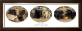Puppy Galore