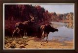 Buy Monarchs of the Wilderness at AllPosters.com