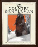 Buy Beaver in Winter, c.1916 at AllPosters.com