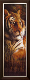 Buy Tiger at AllPosters.com
